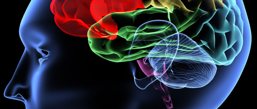 All about the Vibrant Brain Brain