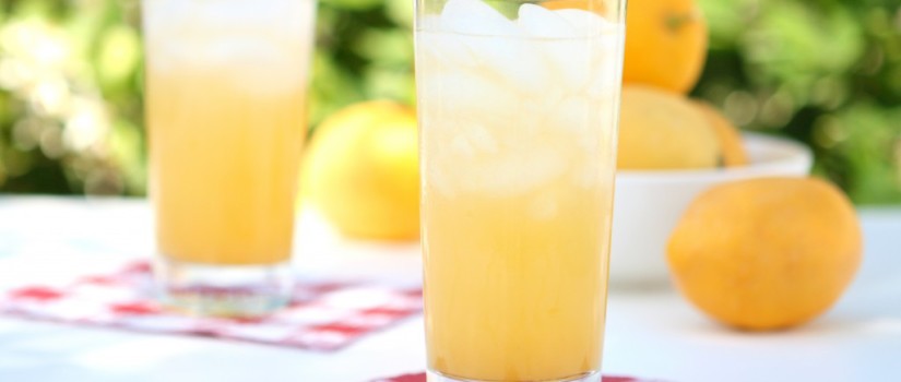 Iced Pineapple Allergen Free Recipe icedpineapple