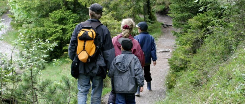 Eco-Friendly Summer Activities for the Whole Family eco friendly summer