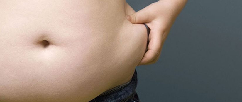 Your Belly Fat is its own Endocrine Organ belly fat endocrine organ