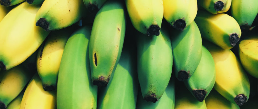 RECIPE: Banana Pancakes bananas-banana pancakes