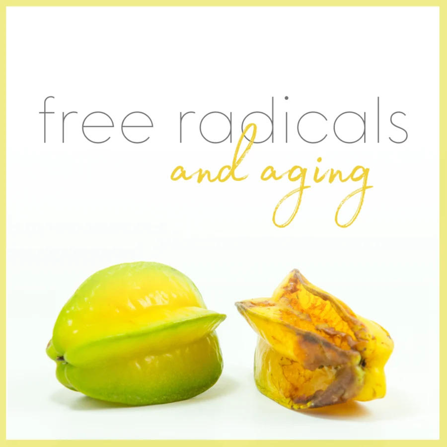 The Secrets Of Aging And Longevity