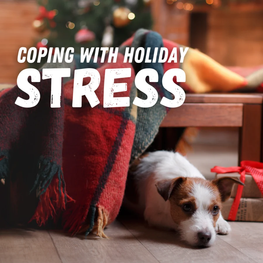 Tips for a Healthy, Happy Holiday Season