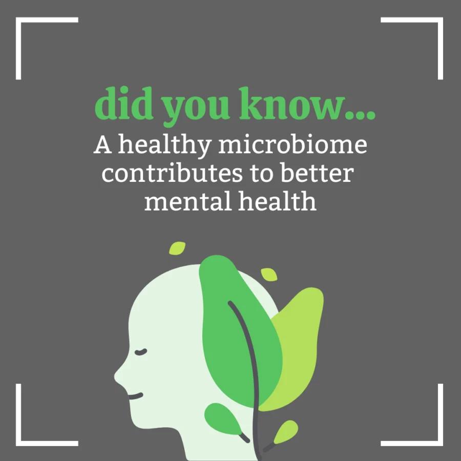 The Gut-Brain Axis and Its Impact on Your Mental Health