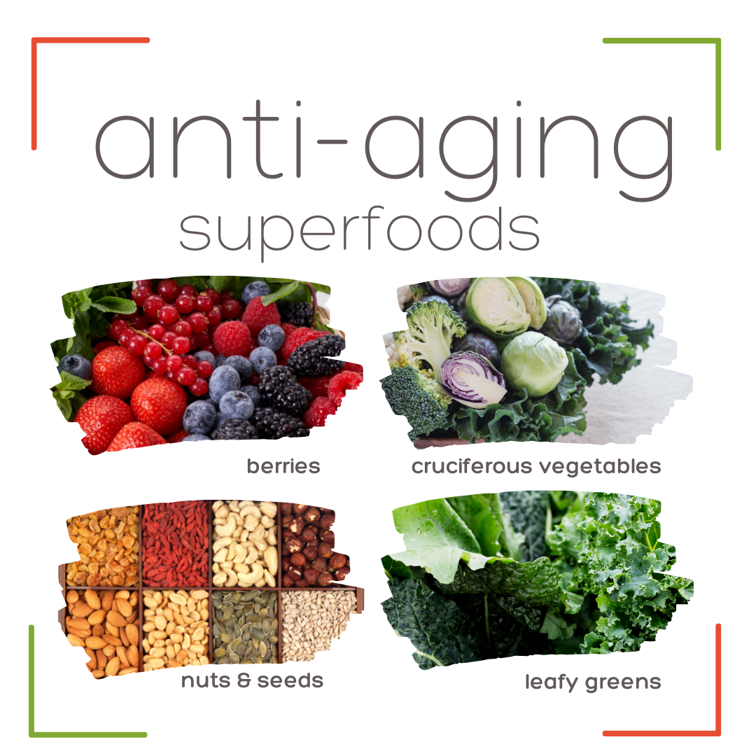 Top 10 Superfoods for Longevity - Vibrant Living Naturopathic and Wellness