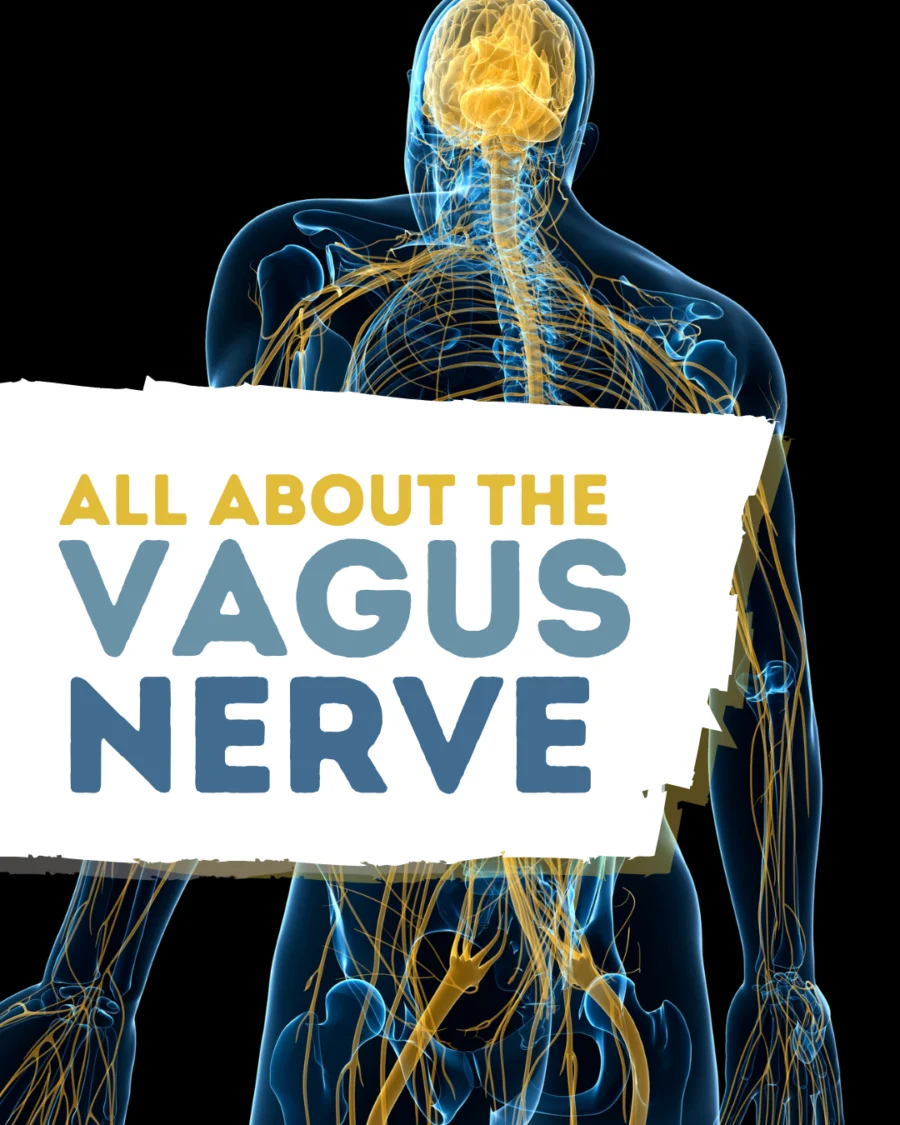 The Vagus Nerve: Key to Mind-Body Connection
