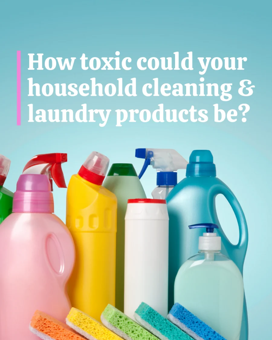 Sweep Away Toxins: A Guide to Healthy Living