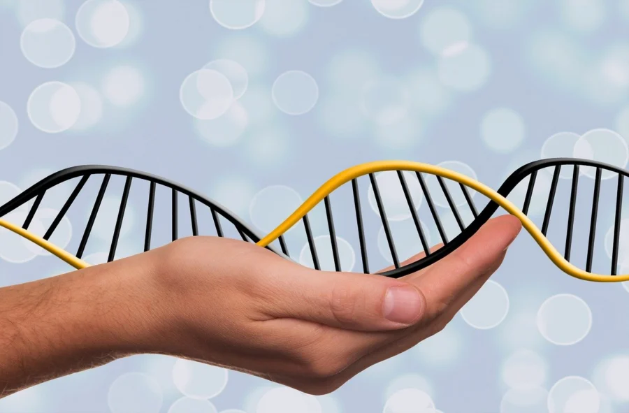 Autoimmune Disease: Genetics vs. Environment