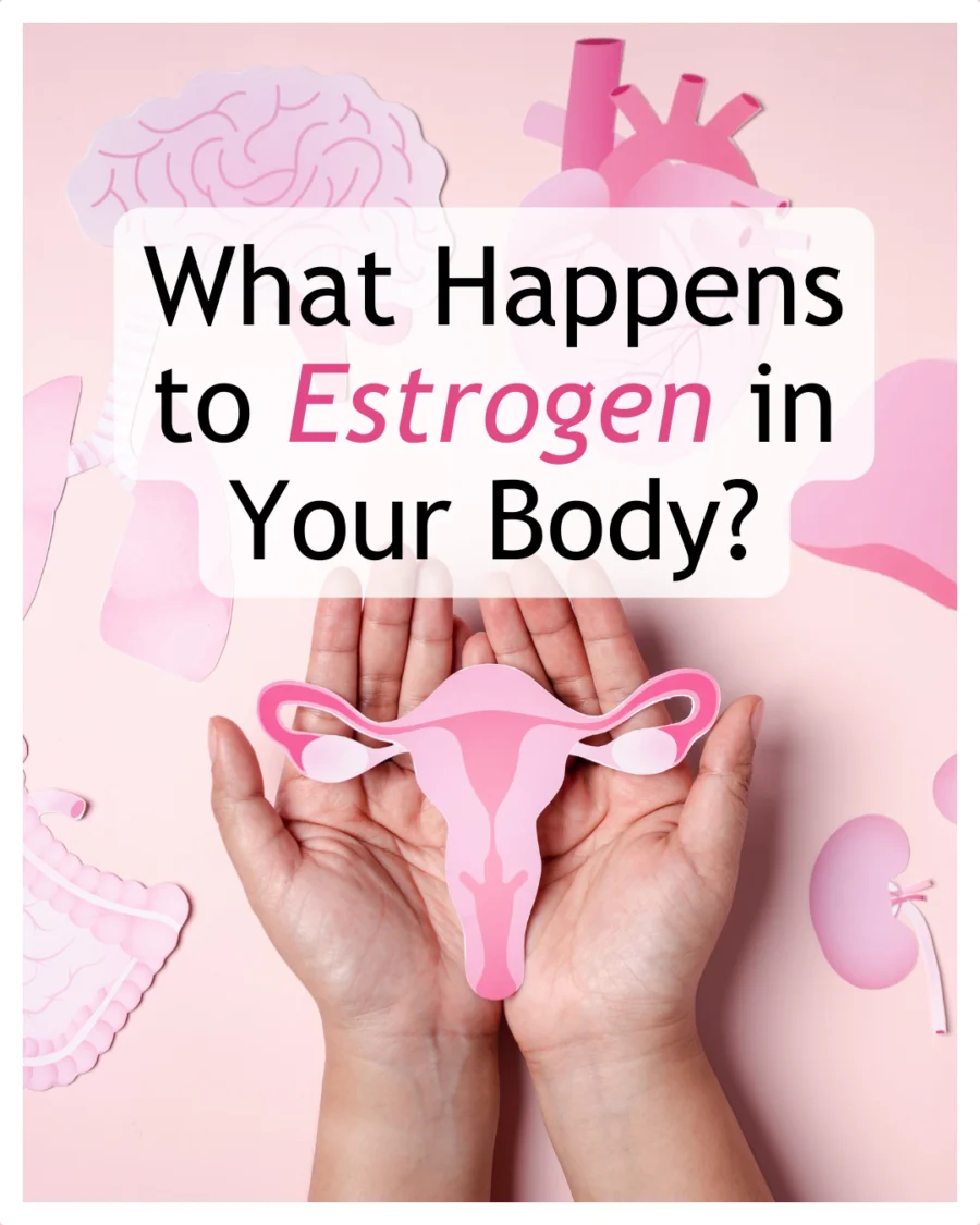Estrogen Metabolism 101: How to Keep Your Hormones in Check
