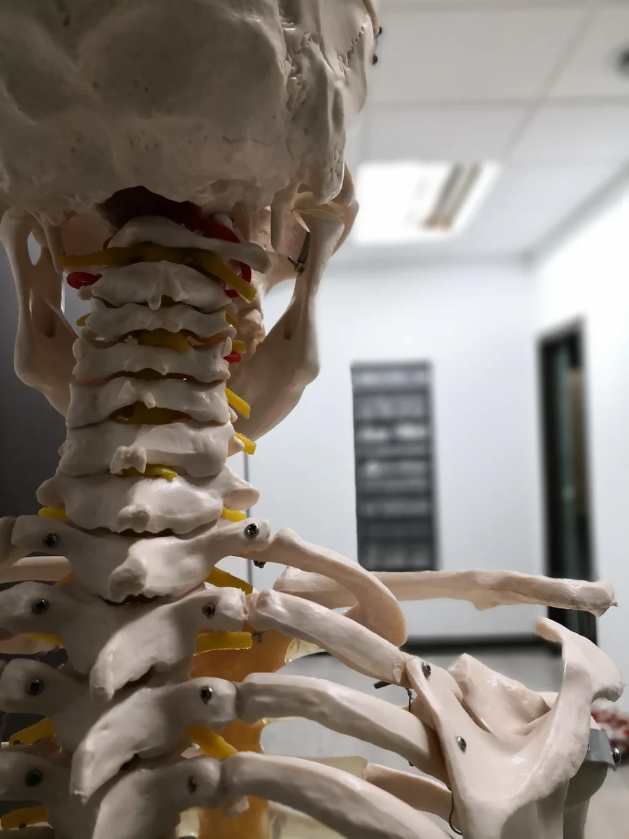 What is Osteopathy