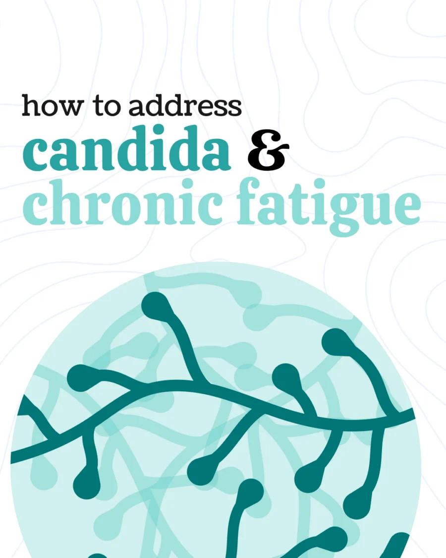 Candida and Chronic Fatigue: What You Need to Know