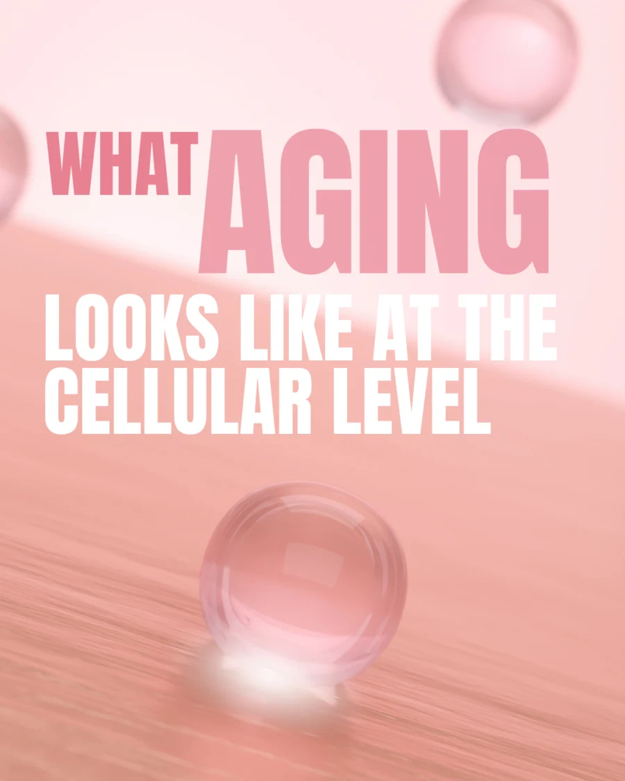 The 5 True Signs of Aging